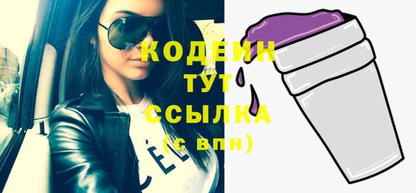 молекула духа Верхний Тагил