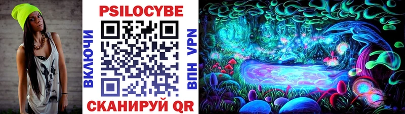 Псилоцибиновые грибы Cubensis  мега tor  Вилюйск 